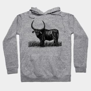 Wild Buffalo Hoodie